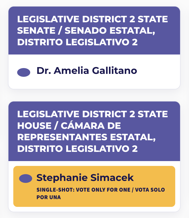 Voter Guide